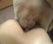 Две собаки и девушка зоо порно