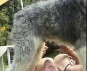 Секс с собакой на лужайке зоо групповое